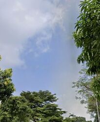 Jalan Kelulut (D28), Semi-Detached #548369911